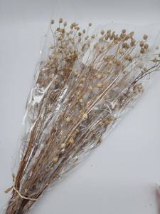 lot 69084 image: Natural Dried Babys Breath Bouquet - Retail $8