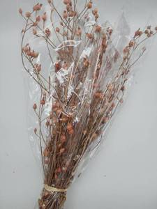 lot 69089 image: Natural Dried Pink Star Flowers Bundle - Retail $12