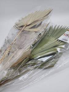 lot 69090 image: Natural Dried Mix Palm Leaves Bundle - Retail $15