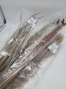 lot 69091 image: Decorative Dried Mix Pampas Grass Bundle - Retail $12