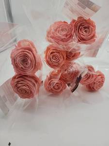 lot 69103 image: Natural Dried Pink Wood Rose Bouquet - Retail $25