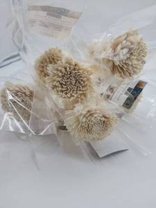 lot 69105 image: Natural White Sola Wood Flowers - Retail $12