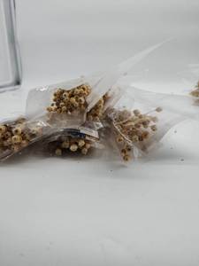 lot 69122 image: Natural Dried Star Flowers Bundle - Retail $12