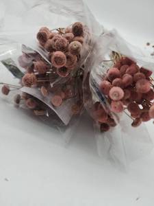 lot 69132 image: Dried Pink Bell Pods Bundle - Retail $12