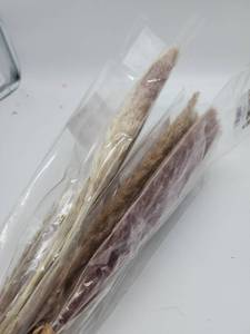 lot 69139 image: Natural Dried Cattail Reed Bundle - Retail $12