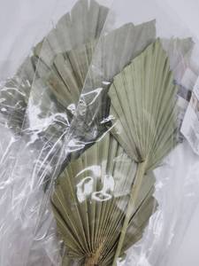 lot 69141 image: Natural Dried Palm Leaves - Retail $12