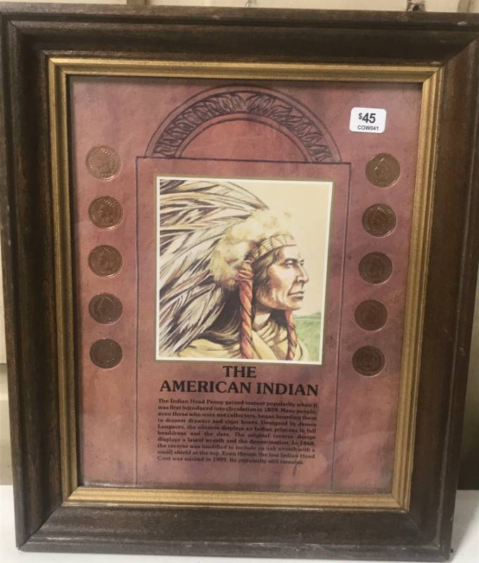 lot 5814 image: Very Nice, Framed American Indian Penny Collection Matted w History - WOW