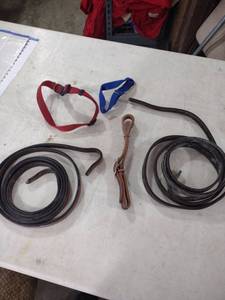 lot 950 image: Leather Horse Reins and Nylon Collar Set
