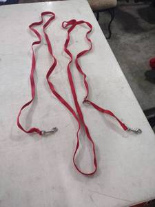 lot 951 image: 146 in Red Nylon Dog Training Leash