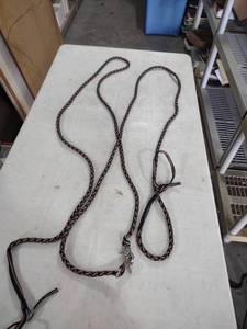 lot 952 image: Rainbow Pride Braided Dog Leash 12 ft long