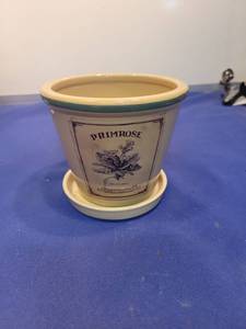 lot 5092 image: Decorative Primrose Ceramic Flower Pot with Saucer