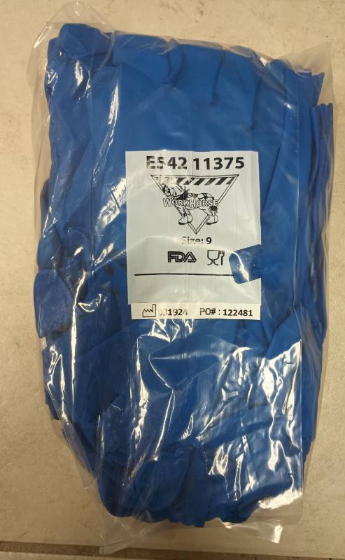 lot 637 image: WorkHorse Blue Food Service Gloves Size 9 DP60