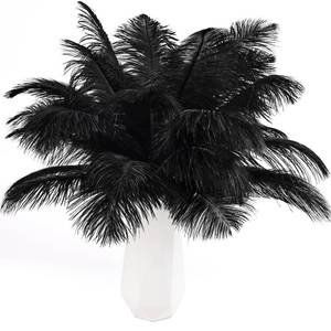 lot 72158 image: Black Ostrich Feathers 24pcs Natural Bulk 8-10Inch 20cm-25cm for Crafts Wedding Party Centerpieces Halloween and Home Decoration Feathers - Retail $10