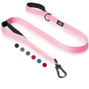 lot 72215 image: 4FT 1IN Strong Pink Dog Leash with 2 Padded Handles, Traffic Handle Extra Control, Comfortable Soft Dual Handle, Auto Lock Hook, Reflective Walking Lead for Small Medium and Large Dogs - Retail $18