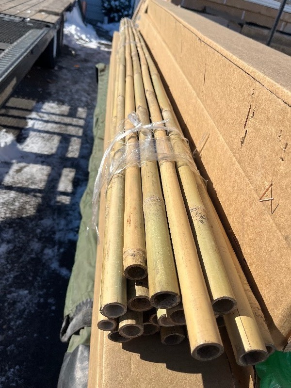 lot 183 image: Bundle of 8 Bamboo Great for Privacy etc