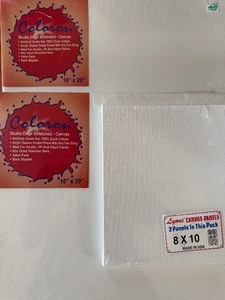 lot 96 image: Canvas Boards, (4) 16x20 and (3) 8x10, All Sealed