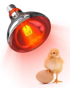lot 24106 image: Tobebright Heat Lamp Bulbs for Chickens Coop Brooder,250 Watt Reptile Heat Lamp Bulb Infrared Red Light for Chicks,Birds,Ducks,Dogs,Cats (Heating Lamp Not Included)