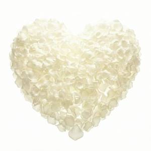 lot 39646 image: Pyrrhiax 1000Pieces Rose Petals, Artificial Flower Petals Fake Rose Petals for Romantic Night,Wedding,Proposal Anniversary Flower Decorations (Milky White)