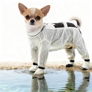 lot 48288 image: Anti Dust Pants with Shoes for Dogs Outdoor Anti Dirt Pants for Dogs for SmallMedium Dog in RainSnowHiking (S)