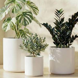 lot 111450 image: LE TAUCI Ceramic Pots for Plants, 1086 Inch Indoor Planters with Draiange Hole, Silicone Plug & Mesh Pad, Modern Minimalist Pots for Home Office, Set of 3, Satin, White
