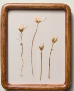 lot 41424 image: Bundled pkg.-Pressed White Flowers Wall Art in Wood Frame