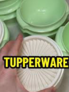 lot 41435 image: Tupperware Shell Storage Containers