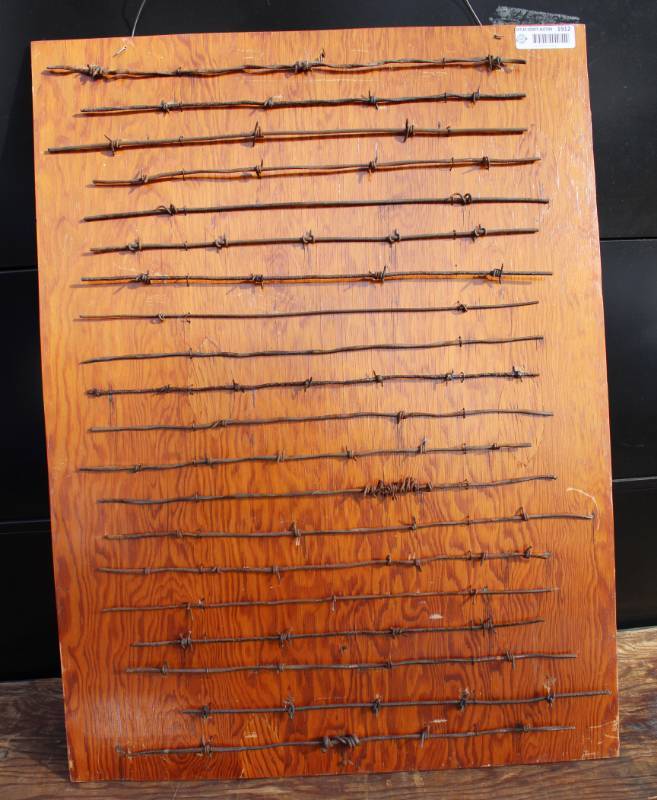 lot 1912 image: Barbed Wire Display - Cool Decoration For a Man Cave