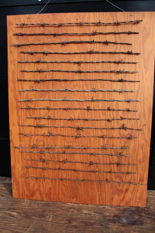 lot 1920 image: Decorative Barbed Wire Display - Nice For a Man Cave