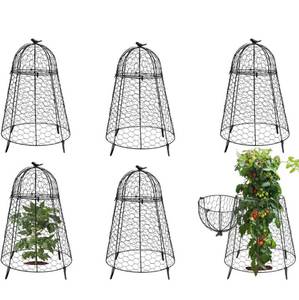 lot 2041 image: Plant Protector Chicken Wire Cloche 6 PCS, Plant Protectors from Animals, 18.7x12 Inch Large Garden Cloches for Plants, Sturdy 2-in-1 Cloche Dome for Plants, Plant Protectors for Easy Pruning