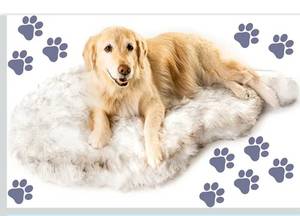lot 2090 image: PAW BRANDS PupRug Orthopedic Dog Bed for Large Dogs with Fluffy Soft Faux Fur
