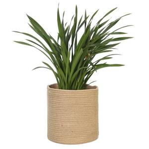 lot 2145 image: MEGASKET Woven Jute Plant Basket, Wicker Basket Planter for 10 inch Pot, Round Indoor Tree Pot Cover, Small Boho Storage Bin Organizer, Rustic Baskets for Plants and Home Decor, 11X11
