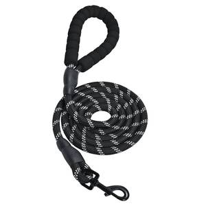 lot 3054 image: Amazon Basics Round Dog Leash, Heavy Duty, Durable Rope for Small, Medium, and Large Dogs, Lightweight Design for Walking, Training, and Outdoor Activities, Black, 6 Ft