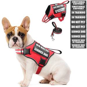 lot 3099 image: MOOGROU Service Dog Vest Harness and Leash Set10 Patches,No Pull&Adjustable Reflective Dog Harness with Soft Padded Handle for TrainingEveryday,Fit SmallMediumLargeExtra-Large Dogs (Red S)