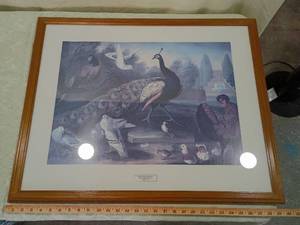 lot 26 image: Ornamental Garden Bird Print by Marmaduke Craddock