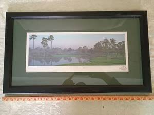 lot 27 image: Bay Hill Club No.17 Hole Framed Golf Course Photo signed photo  framed and matted