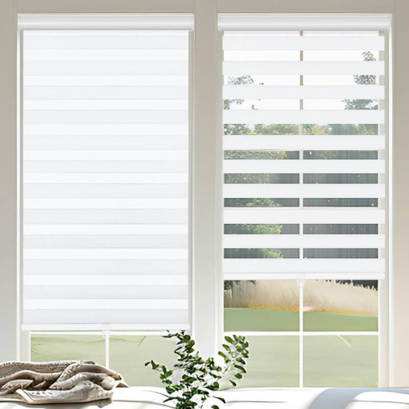 lot 201187 image: OUDUCK Cordless Zebra Blinds for Windows, 20 W x 72 H Zebra Roller Shades with Valance Free Stop Zebra Roller Shades, Light Control Window Treatments Dual Layer Sheer Blinds for Day and Night