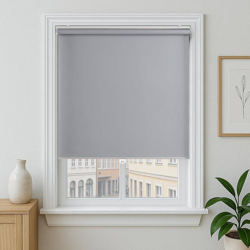 lot 221290 image: Claire HAN Cordless Roller Shade, Free-Stop Blackout Blinds for Windows, Thermal Insulated UV Protection Waterproof, Roll Up Blinds and Shades for Home, Office, Grey 26 W x 72 L