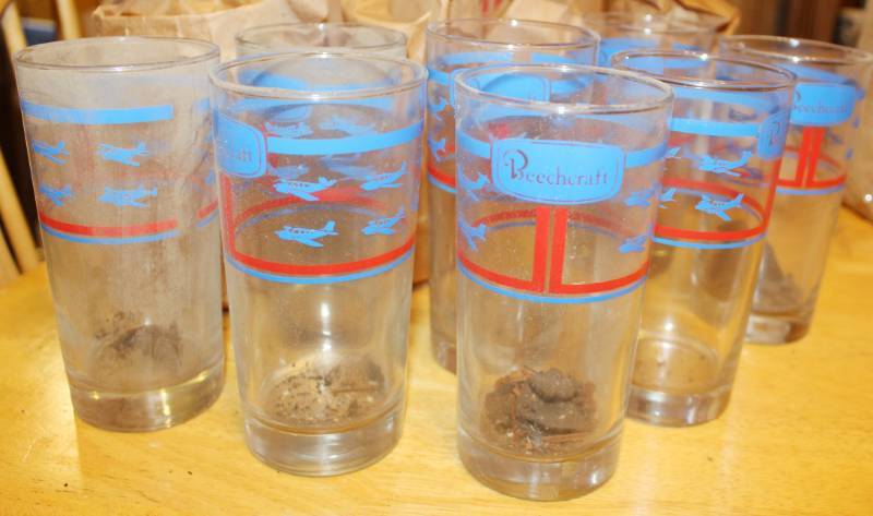lot 1665 image: Eight Beechcraft Collins Glasses