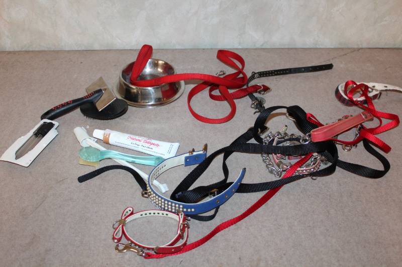lot 5288 image: Doggy Lot - Dog Leashes, Collars, Dish and More