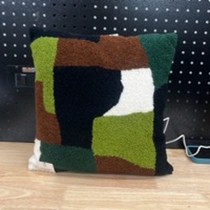 lot 3141 image: Throw Pillow  - Retail $10