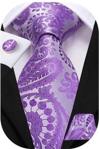 lot 4651198 image: Hi-Tie Mens Purple Paisley Ties Silk Necktie Pockets Square Cufflinks Sets Wedding Party - Retail $9