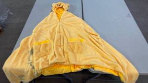 lot 3004 image: Winnie the Pooh Hooded Blanket