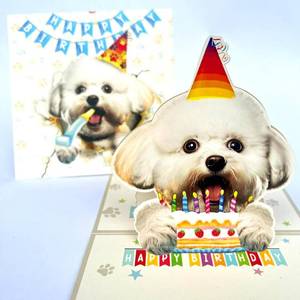 lot 561 image: Bichon Dog 3D Pop-Up Birthday Card - Bichon Dog with Cake Celebration, Whimsical Happy Birthday Greeting for Dog Lovers - White Bichon Dog 3D Birthday Pop Up Cards (Bichon Birthday Card) - Retail $10