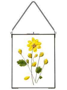 lot 24199 image: REDHUGO Hanging Pressed Flower Frames, Double Glass Floating Picture Frame Handmade, Glass Frame for Pressed Flowers, Vintage Brass Picture Frame for Artwork Wall Display Mount, Black, 8x10 Inches