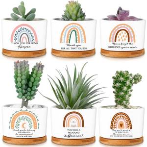 lot 48425 image: Sieral 6 Pcs Thank You Appreciation Gift Friends Succulent Pots Mini Ceramic Plant Pot with Bamboo Tray Succulent Planter for Coworker Employee Teacher, Valentines Gift, Plants Excluded (Boho Style)
