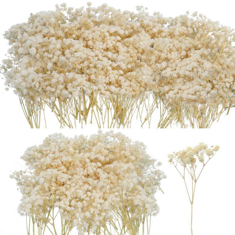 lot 57165 image: 50Pcs Mini Dried Babys Breath Flowers, 6 Natural Ivory White Flowers for Resin Art Craft DIY, 3000 Pressed Gypsophila Bouquet Present for Valentines Day, Wedding Wreath, Card Making, Home Decor