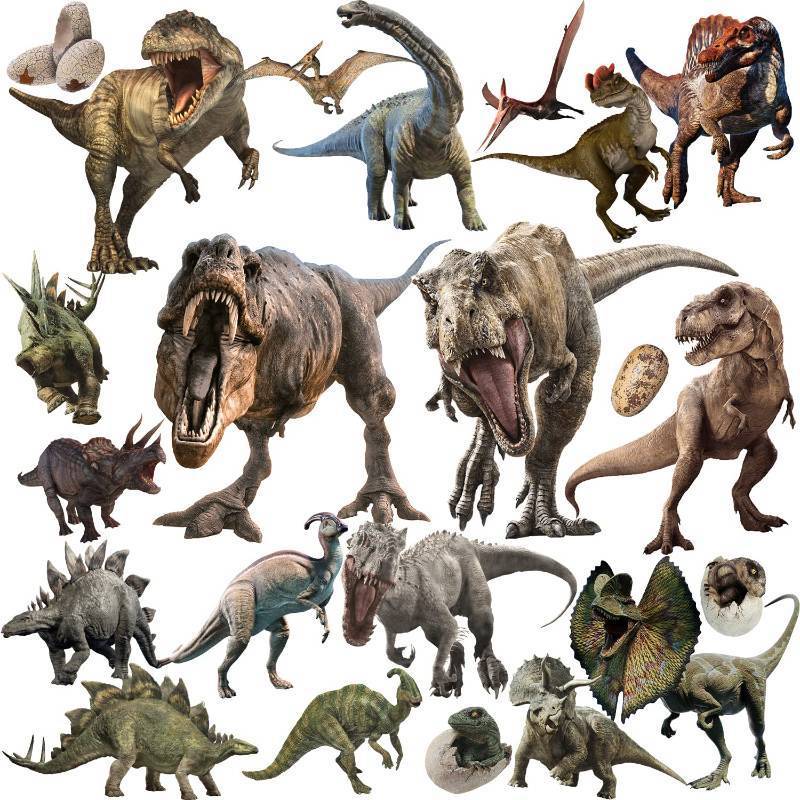 lot 61622 image: 22 Dinosaur Wall Decals - Peel & Stick Removable Dinosaur Wall Stickers for Boys, Kids, Adults & Home Decoration - Retail $12