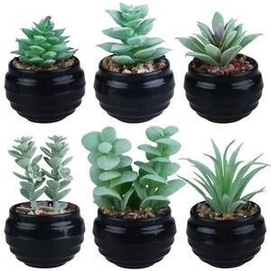lot 44004 image: 6 Pcs Green Artificial Succulent Plants in Black Plastic Pots Mini Faux Succulent Plants Indoor Room Decor Aesthetic Bedroom Shelf Desk Bathroom Office Table Home Decoration - Retail $10