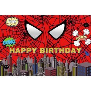 lot 4079 image: Red Spider Web Superhero Photo Backdrop Banner - 6x4 Ft Vibrant Vinyl Background for Boys Birthday, Baby Shower, Superhero Party Decorations (Red Spider)