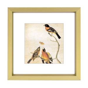 lot 4467 image: 3x3 Picture Frame, Brass Metal Square Photo Frames with HD Glass, Fits 2x2 with Mat or 3 x 3 without Mat, Display for Wall and Table, 1 Pack
